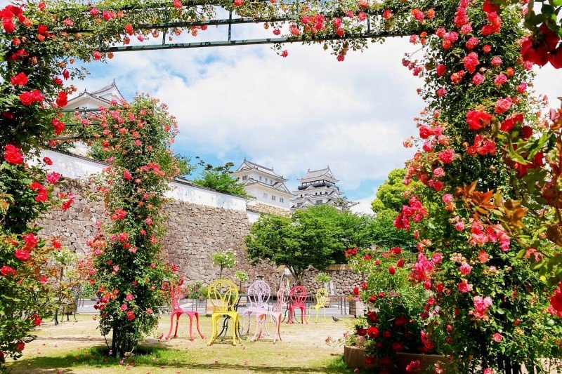 福山城とばらのアーチは、観光客にも人気の「映えスポット」となっている